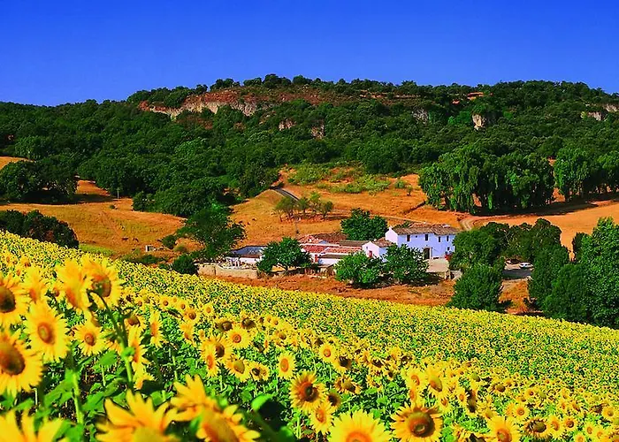 Ξενοδοχείο Cortijo Piletas Ρόντα